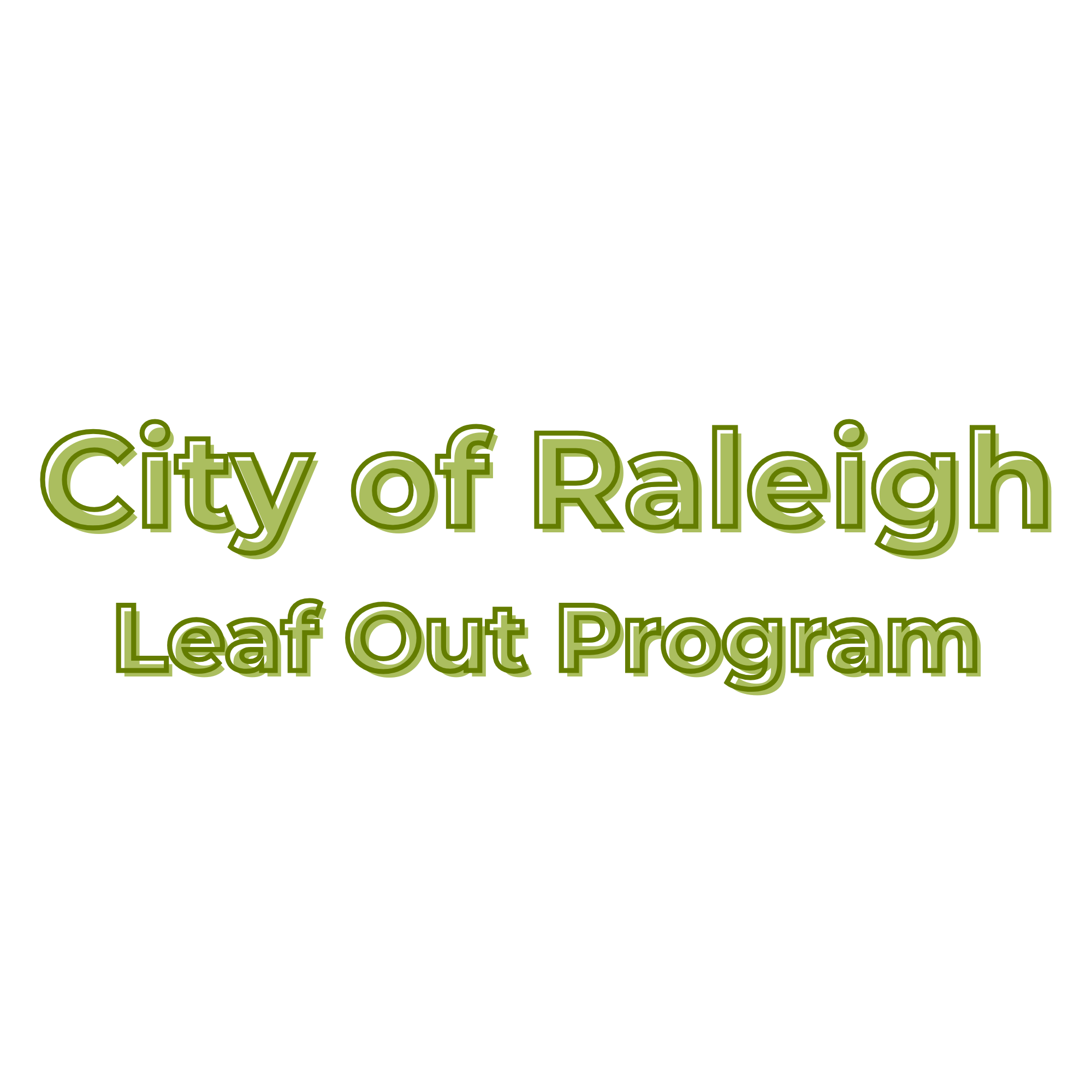 city of raleigh logo